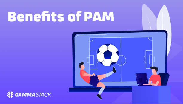 BENEFITS OF PAM EK333